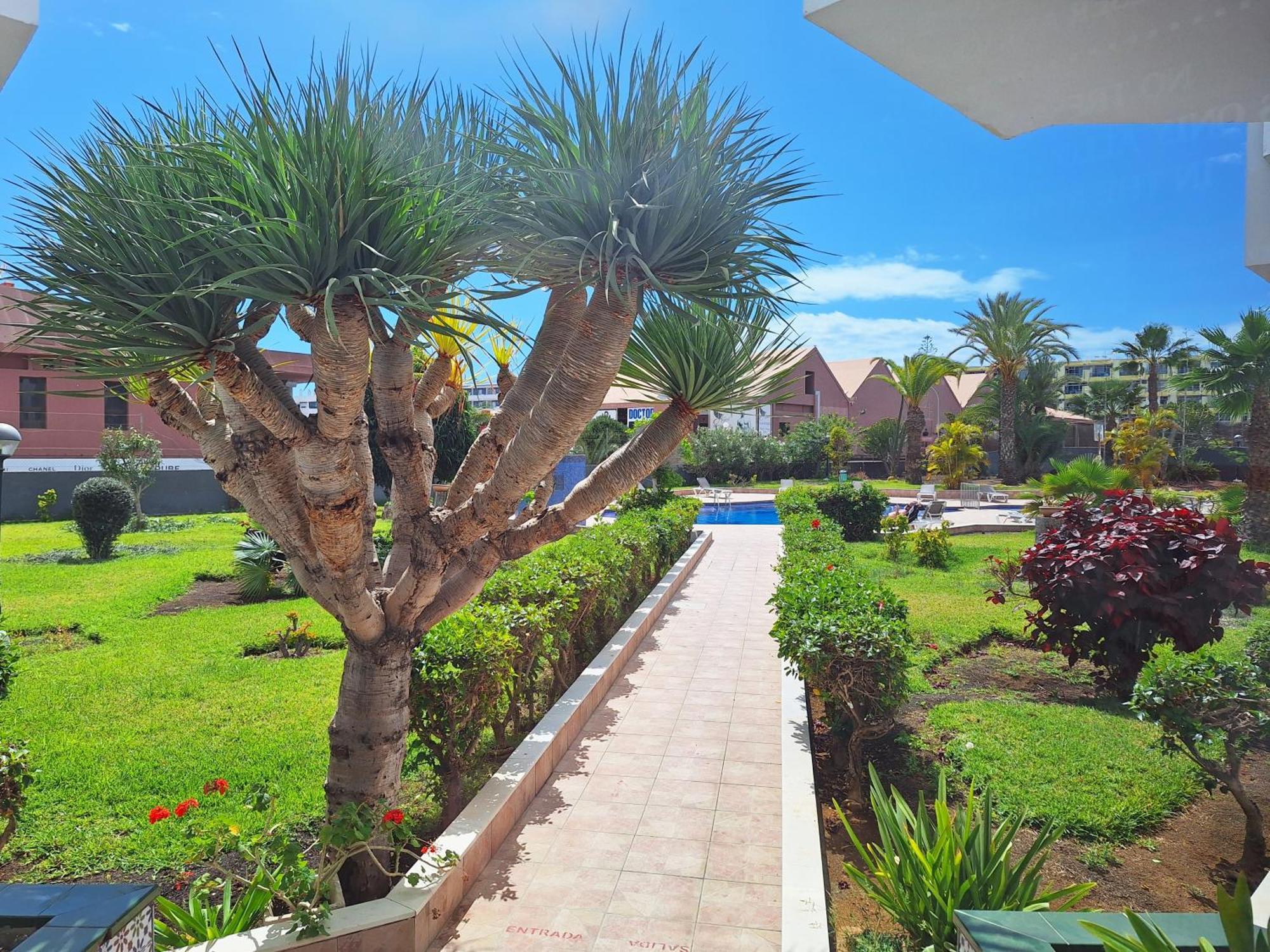 Stylish 2-Bedroom Apartment Yumbo Maspalomas  Zewnętrze zdjęcie